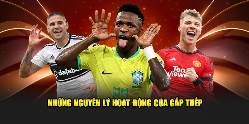 Những nguyên lý hoạt động của gấp thếp